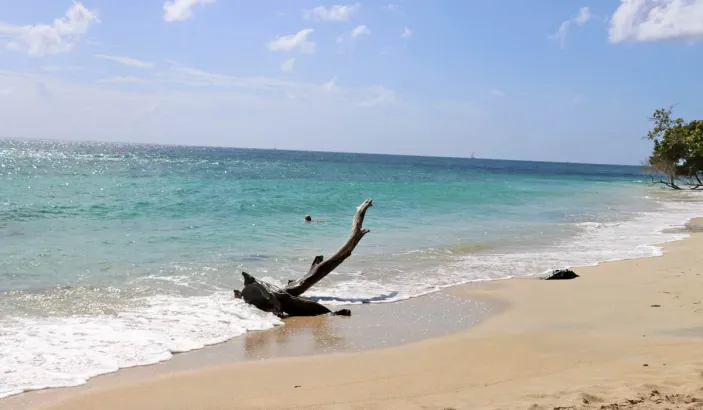 Anse Désert / Fond Larion