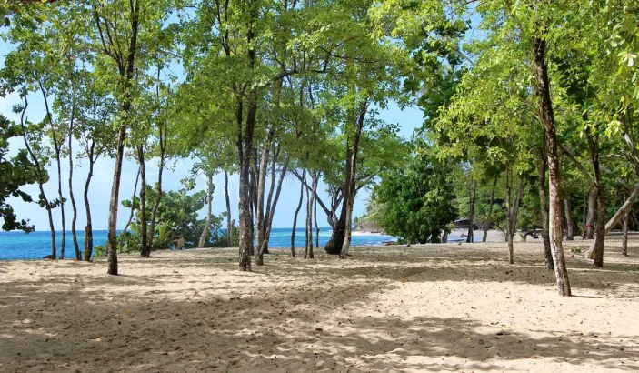 Anse Désert / Fond Larion