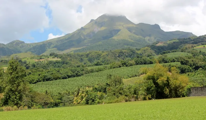 Montagne Pelée