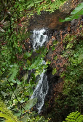 Cascade du Saut Argis