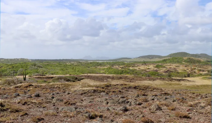 Savane des Pétrifications