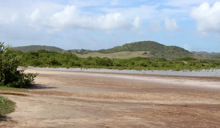 Savane des Pétrifications