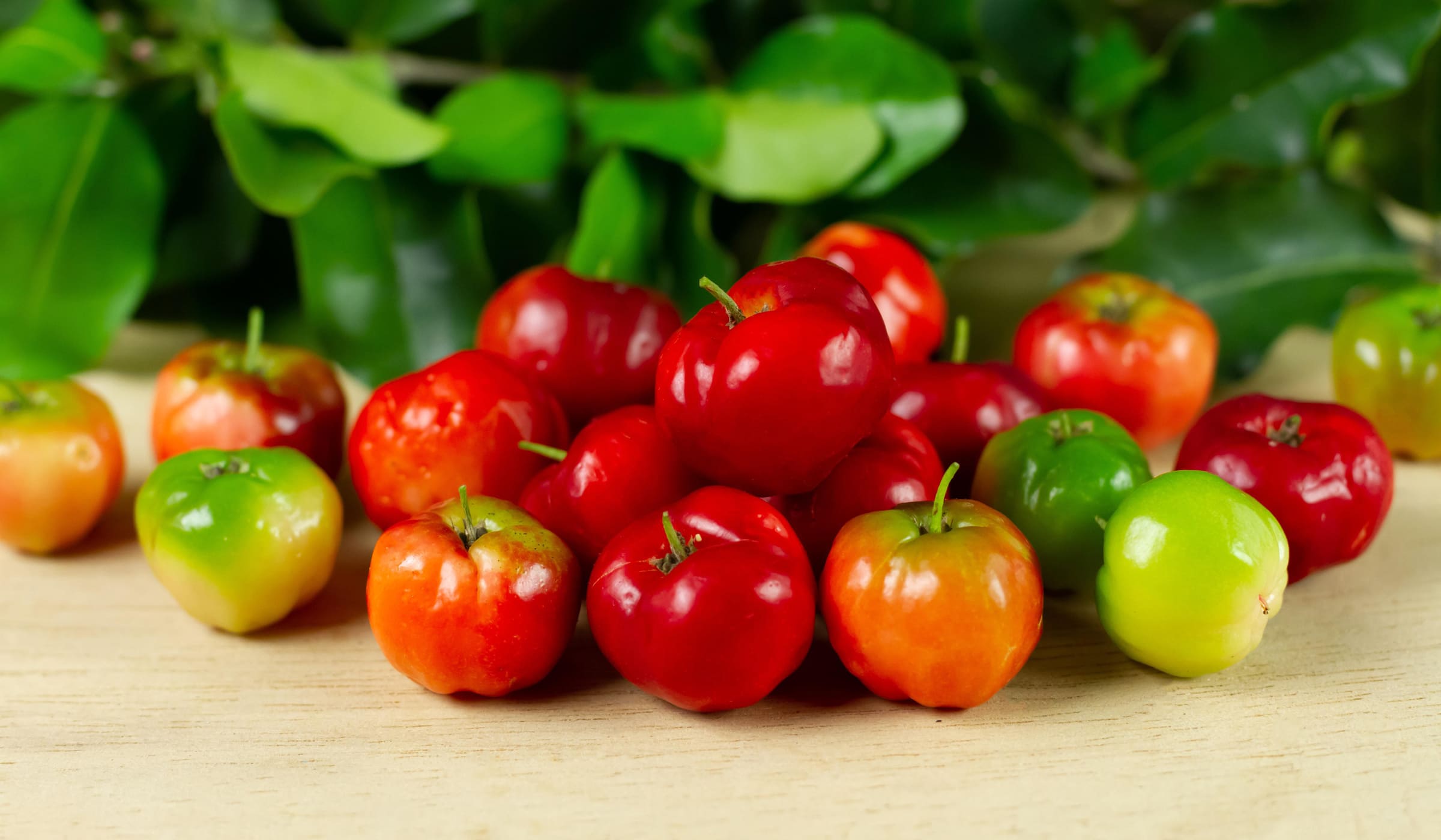 Cerises acerola dans un panier