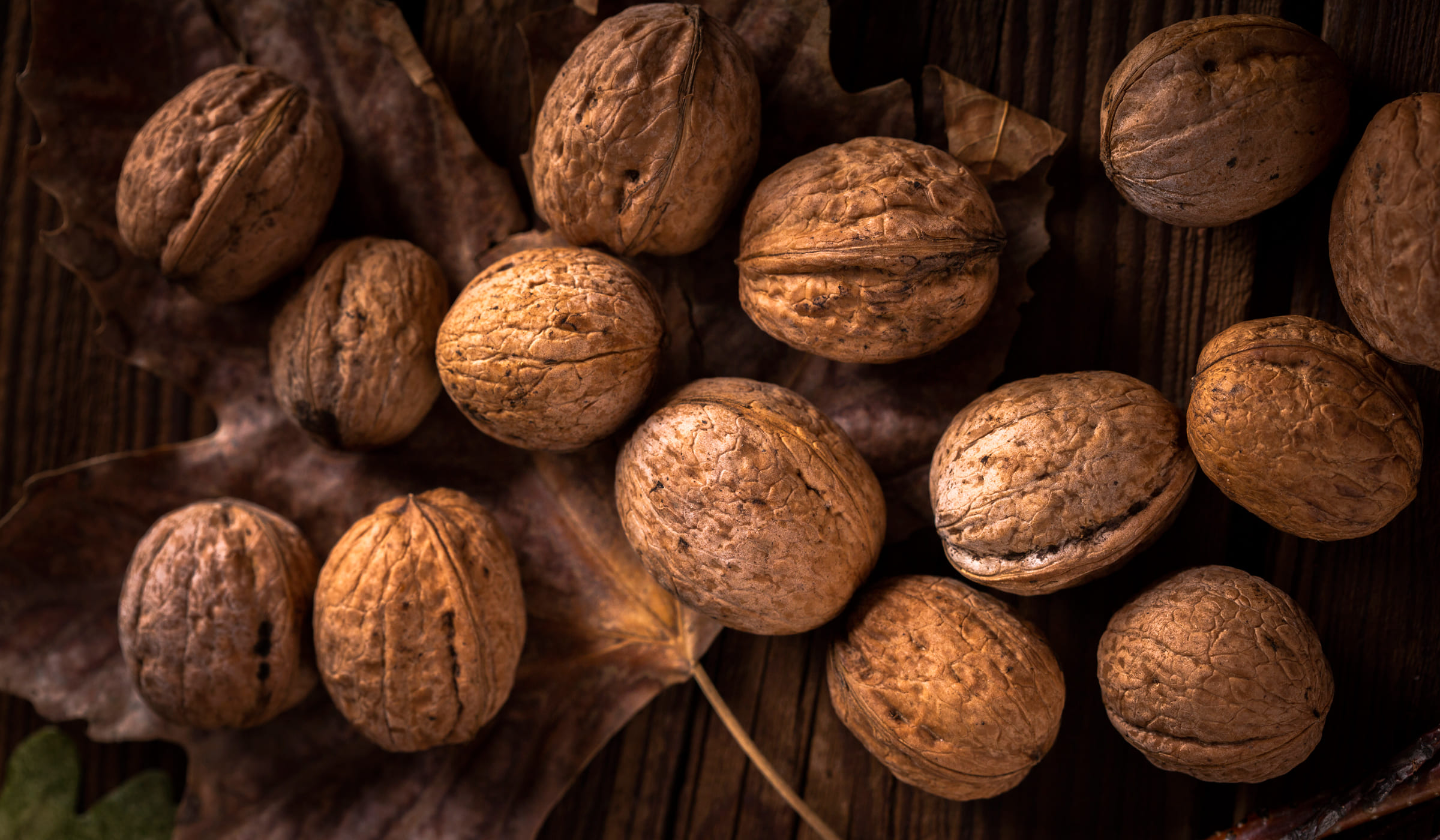 Nutmeg on a leave