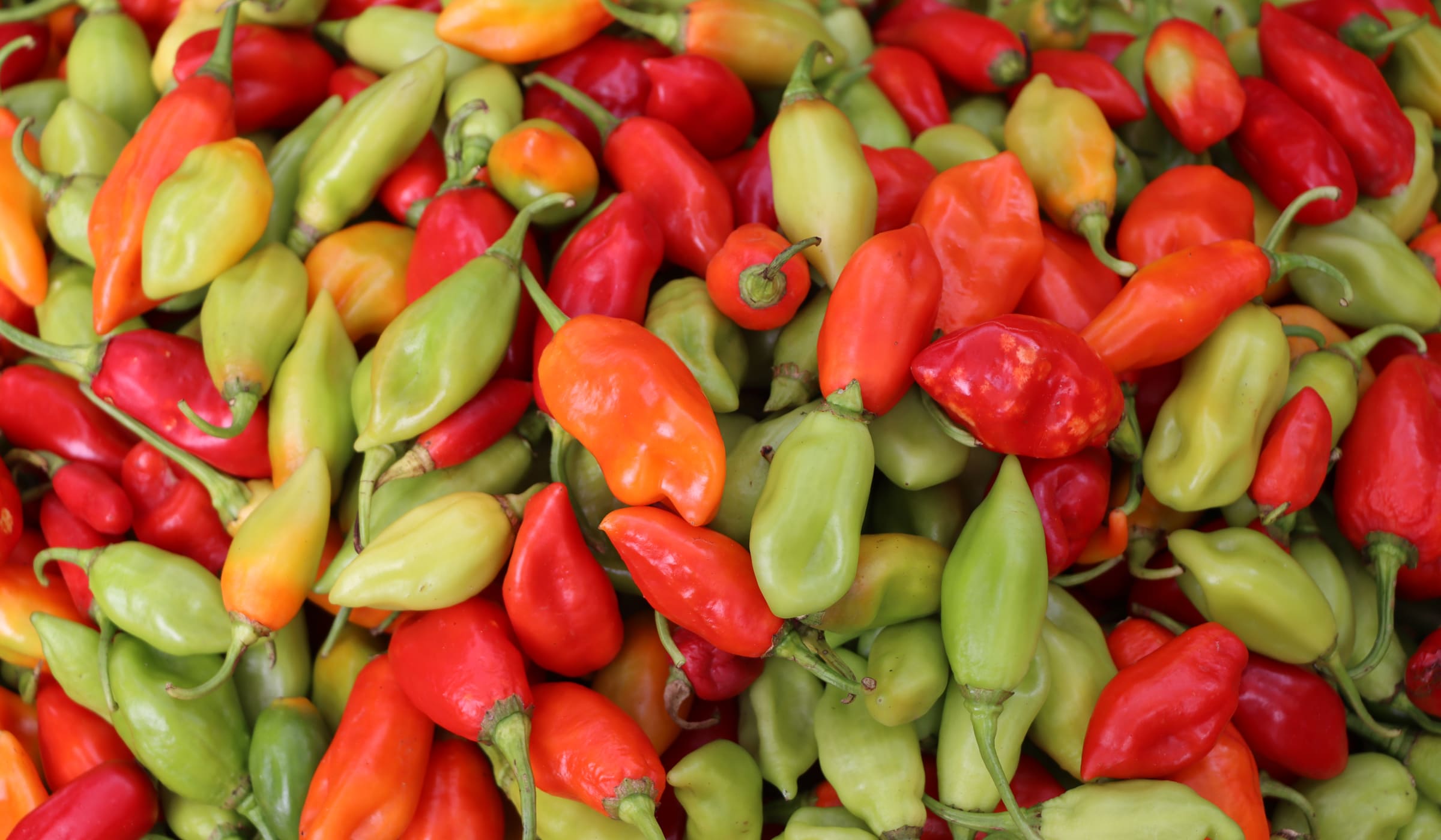 Sweet peppers for sale at Fort-de-France market