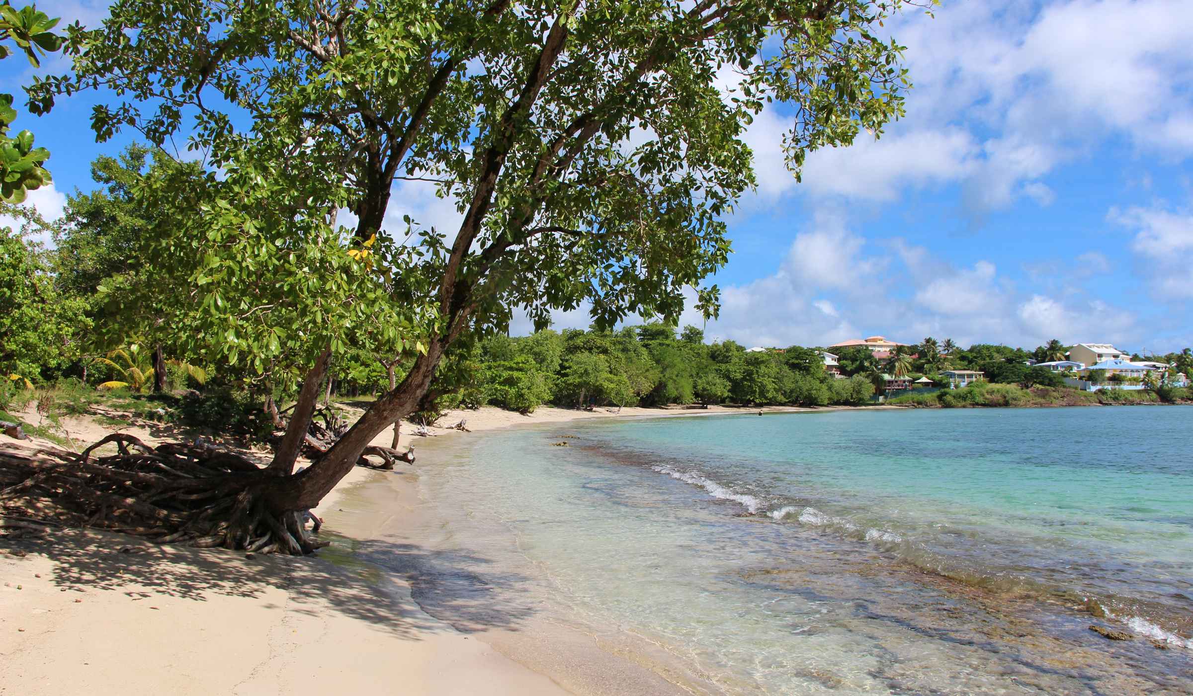 Anse Mabouyas