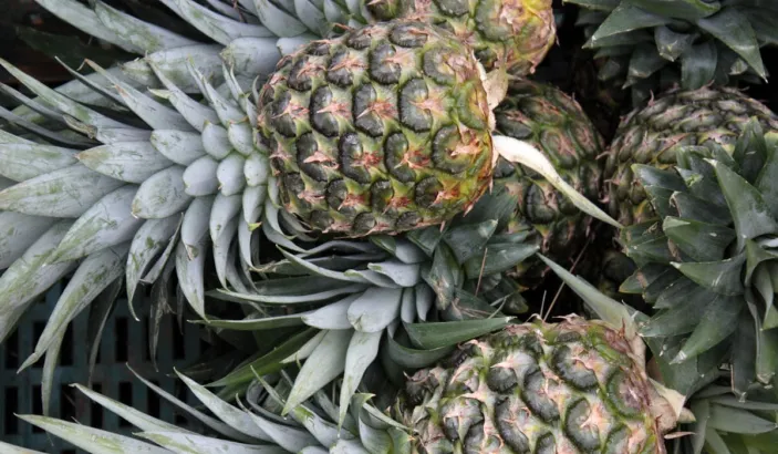 Pineapples for sale at the market in Fort-de-France
