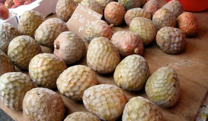 Cachimans en vente au marché de Fort-de-France