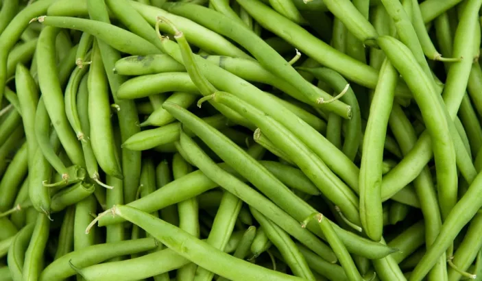 Haricots verts