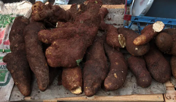 Ignames en vente au marché de Fort-de-France