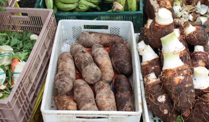 Ignames en vente au marché de Fort-de-France