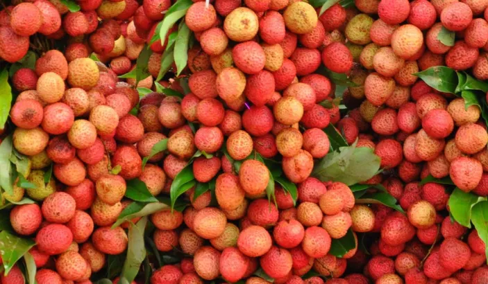 Clusters of lychees for sale