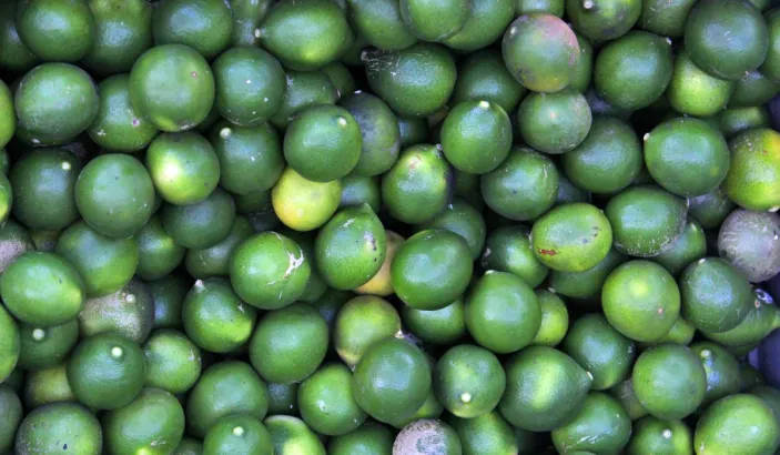 Limes en vente au marche de Fort-de-France