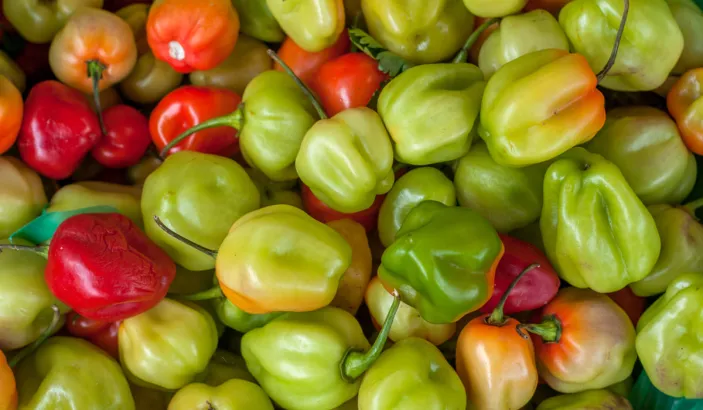 Piments antillais