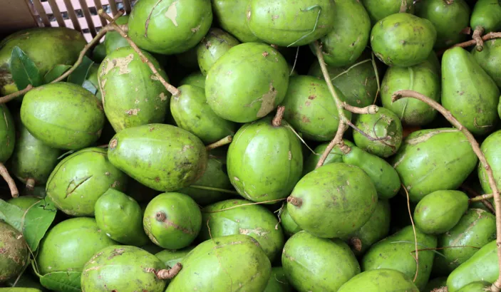 Prunes de Cythère en vente au marché de Fort-de-France
