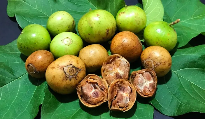 Green and brown vavangues