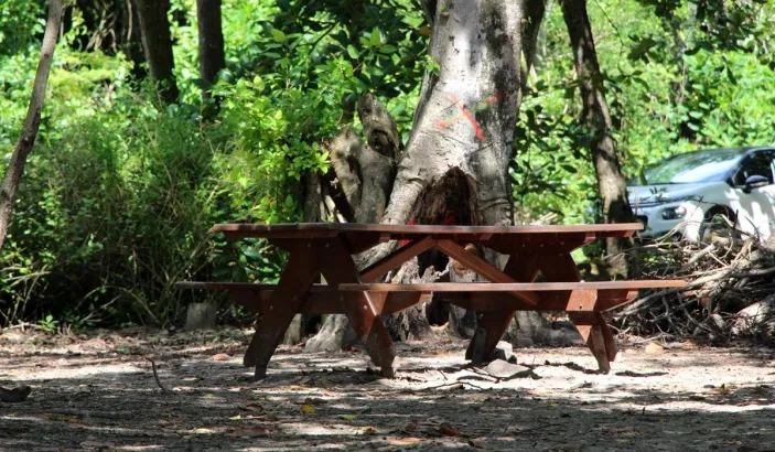 Banc et tables à l'Anse Diamant