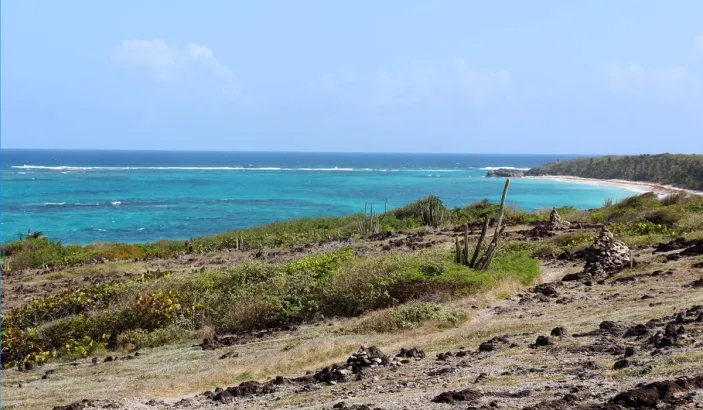 Vue aérienne de l'Anse Grosse Roche