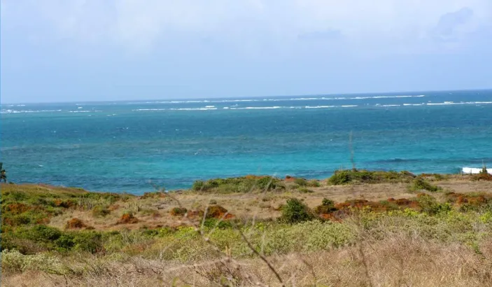 Vue aérienne de l'Anse Grosse Roche