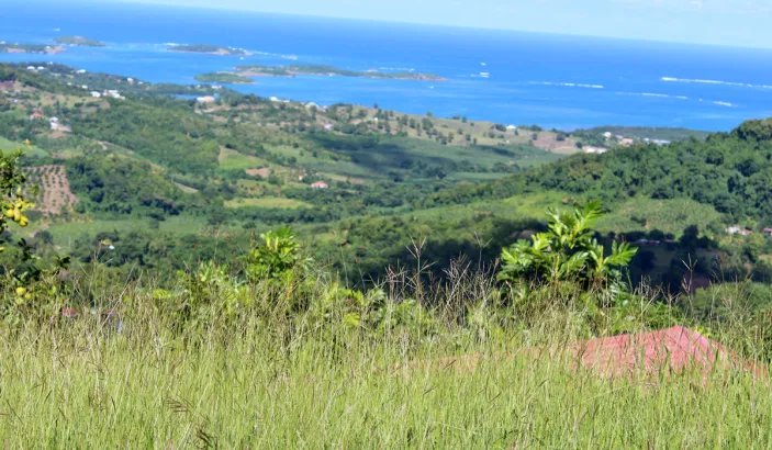 Vue depuis la montagne du Vauclin